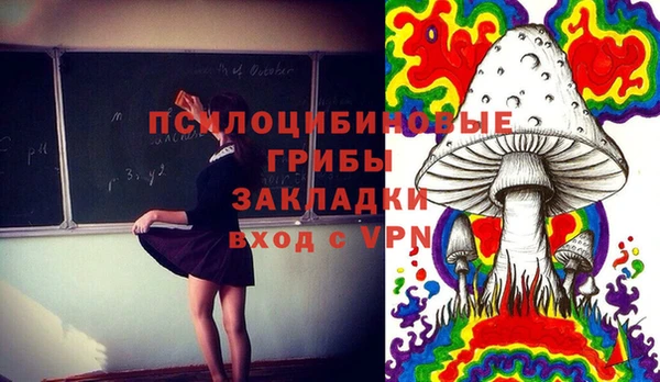дурь Волоколамск