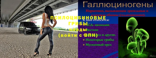 дурь Волоколамск