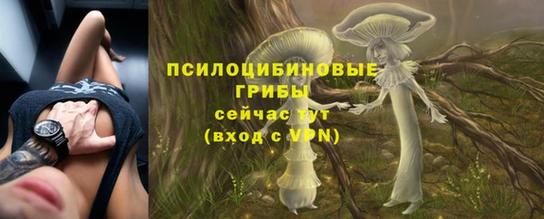 дурь Волоколамск