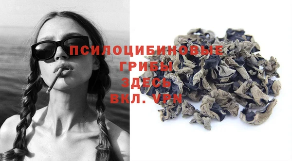 дурь Волоколамск