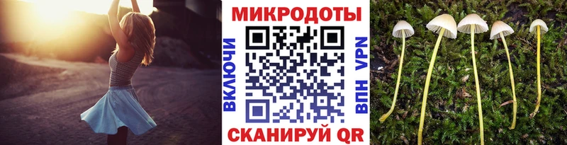 Купить где  Стерлитамак  Псилоцибиновые грибы ЛСД 